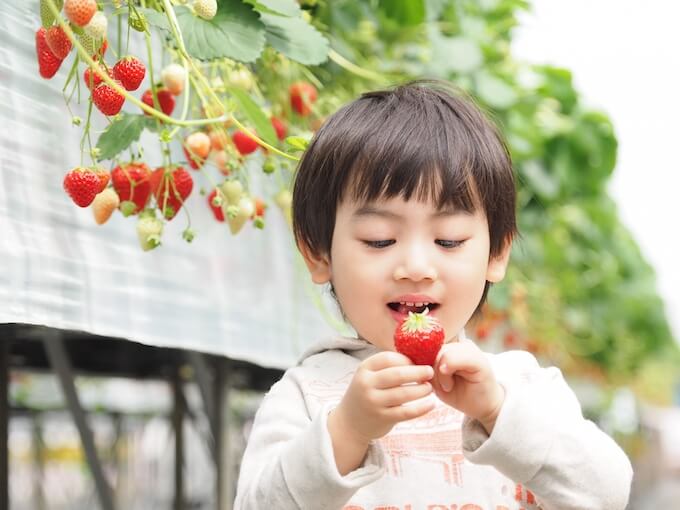 男の子