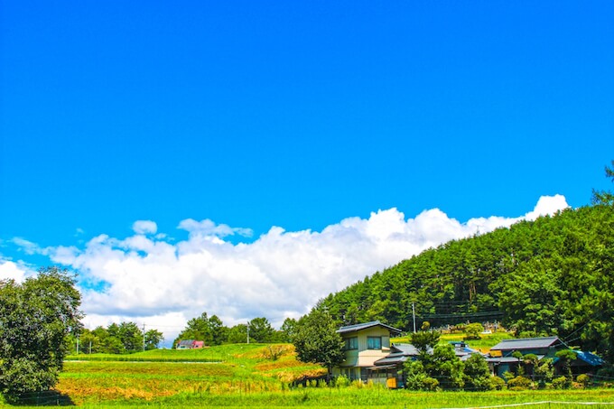 自然豊かな光景