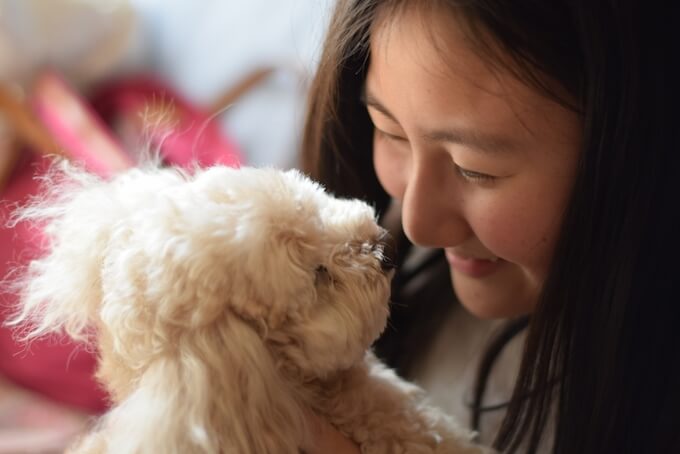 女性と子犬